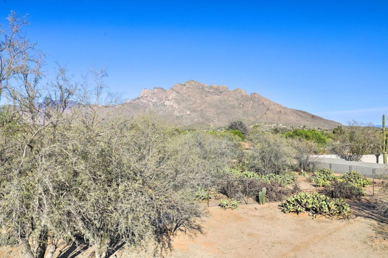 Oro Valley Retreat With Pool, Spa And Rooftop Views! Zewnętrze zdjęcie